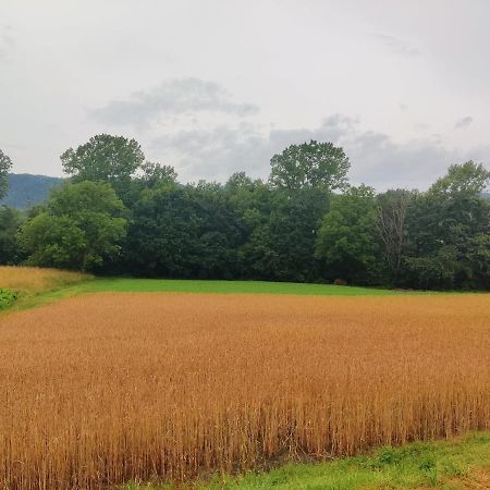 Agriturismo Munarin Caterina Mioglia Екстериор снимка