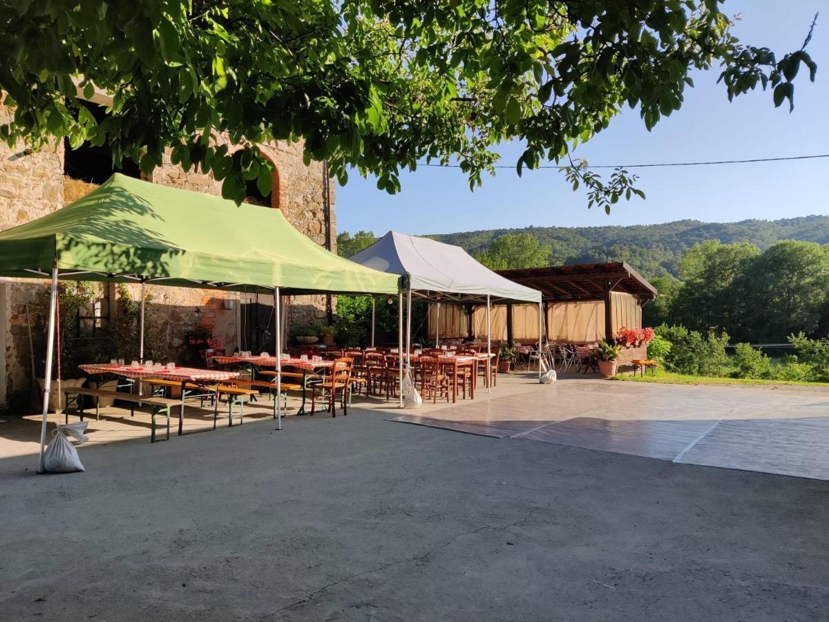 Agriturismo Munarin Caterina Mioglia Екстериор снимка